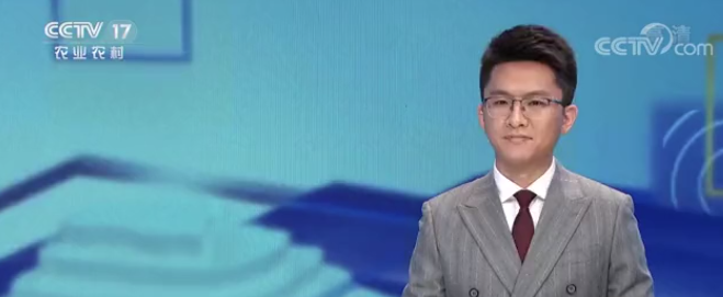 金坛又上电视了，，这次是由于……