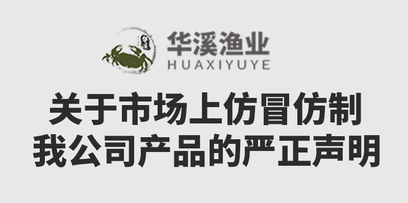 关于市场上仿冒仿制我公司产品的严正声明